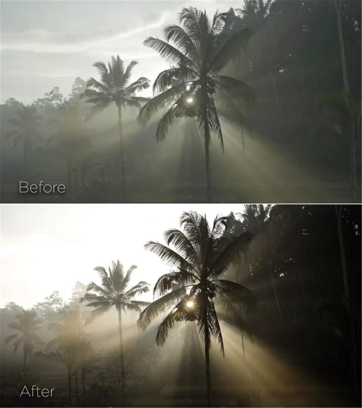 159个复古美学、都市、商业摄影电影短片色彩分级LUT调色预设捆绑包 Pixelbae – Master LUTs Collection ver.1（12964）