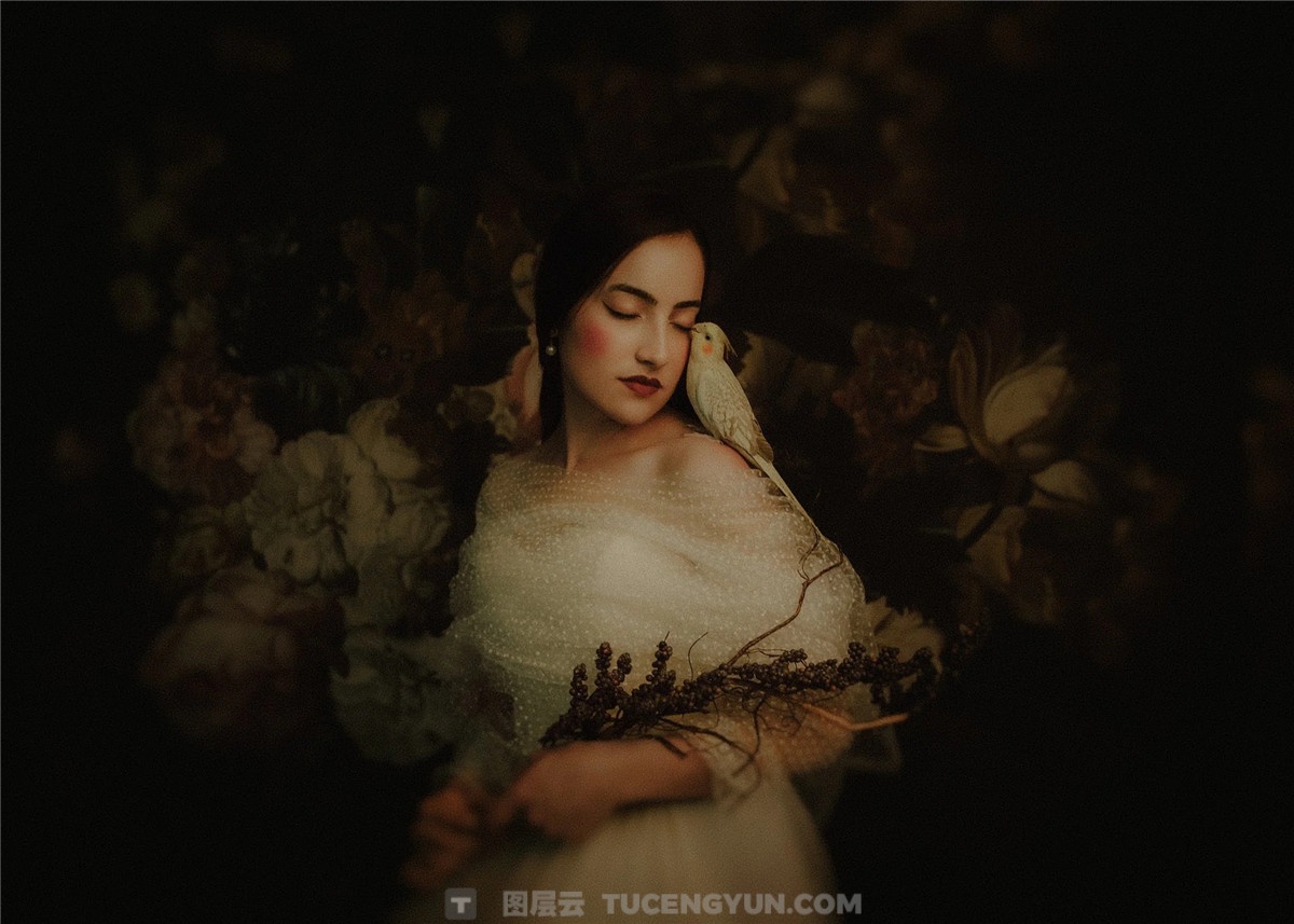 LR预设：欧式古典风格婚礼人像摄影Lightroom预设 Archipelago Quest 53 – Pittura（14012）