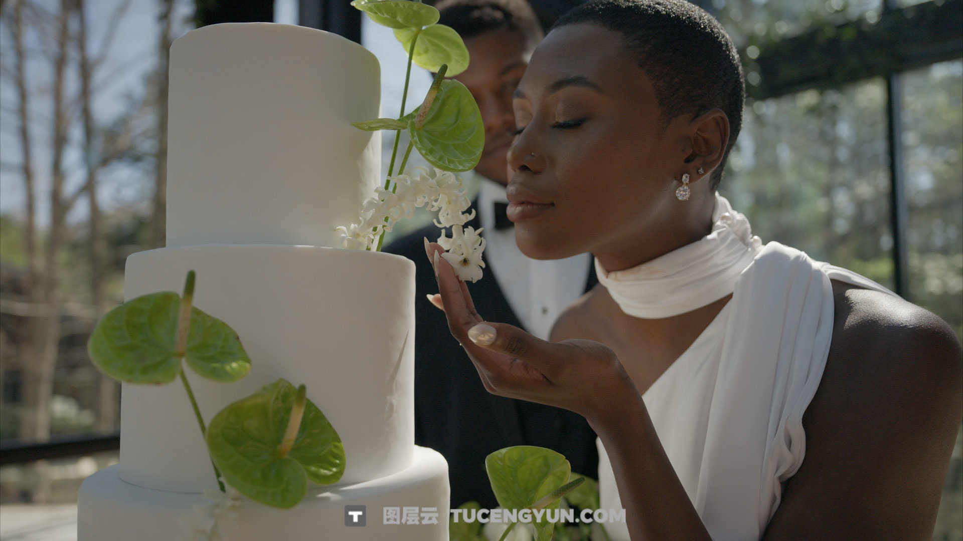 经典电影感柯达2383胶片仿真模拟LUT调色预设 GAMUT – X88 LUTs（13816）