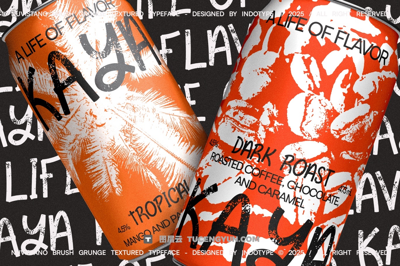 英文字体：大胆野性粗糙磨损边缘画笔油漆飞溅纹理封面海报设计无衬线字体（13853）