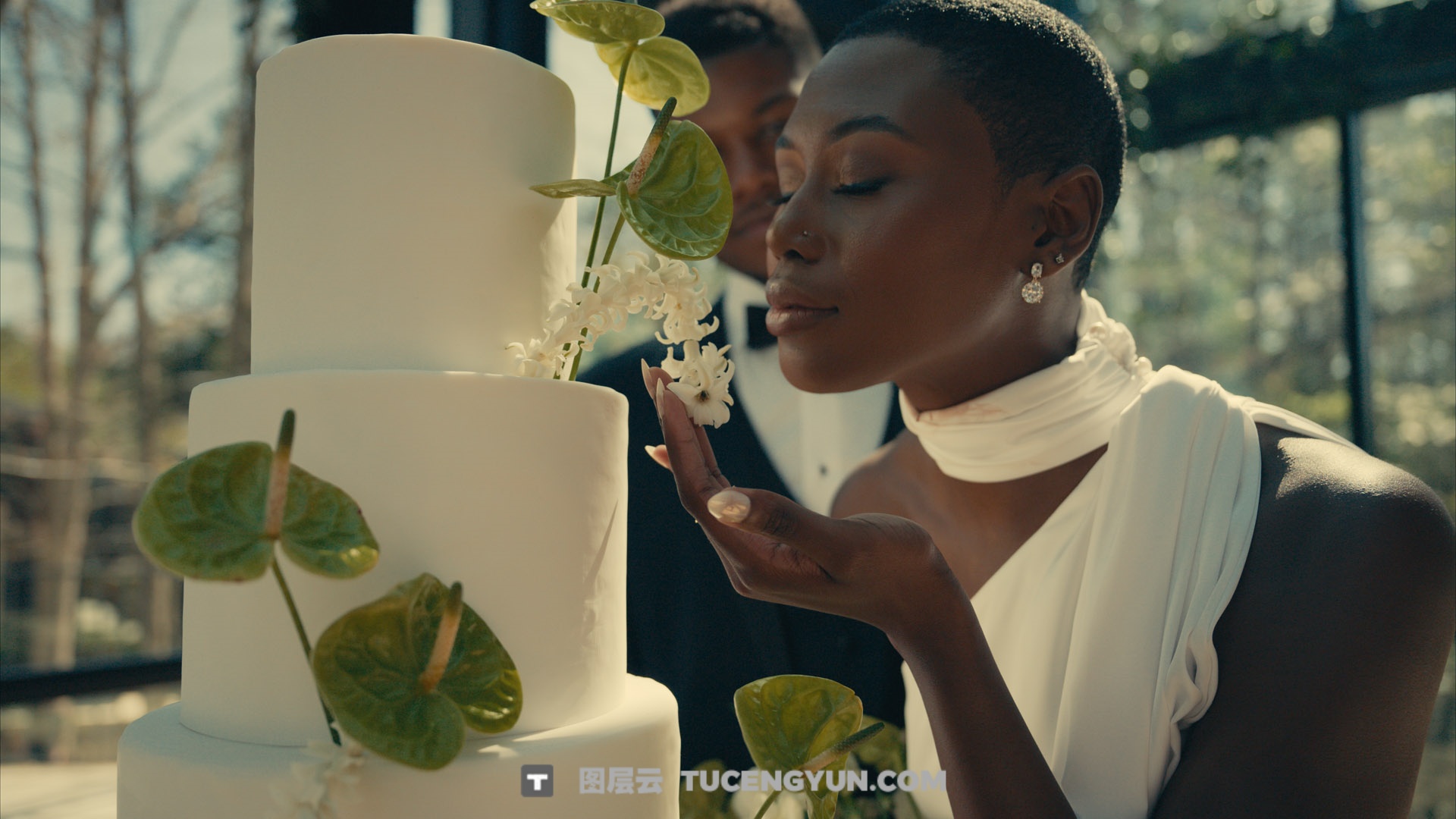 经典电影感柯达2383胶片仿真模拟LUT调色预设 GAMUT – X88 LUTs（13816）