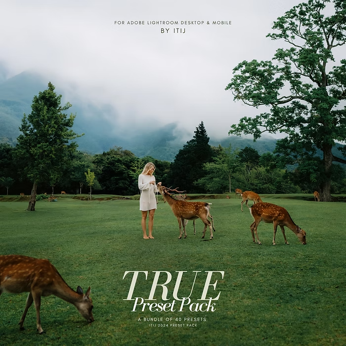 LR预设：真实户外旅拍婚礼人像摄影lightroom预设 Itijarve – True Preset Pack（13911）