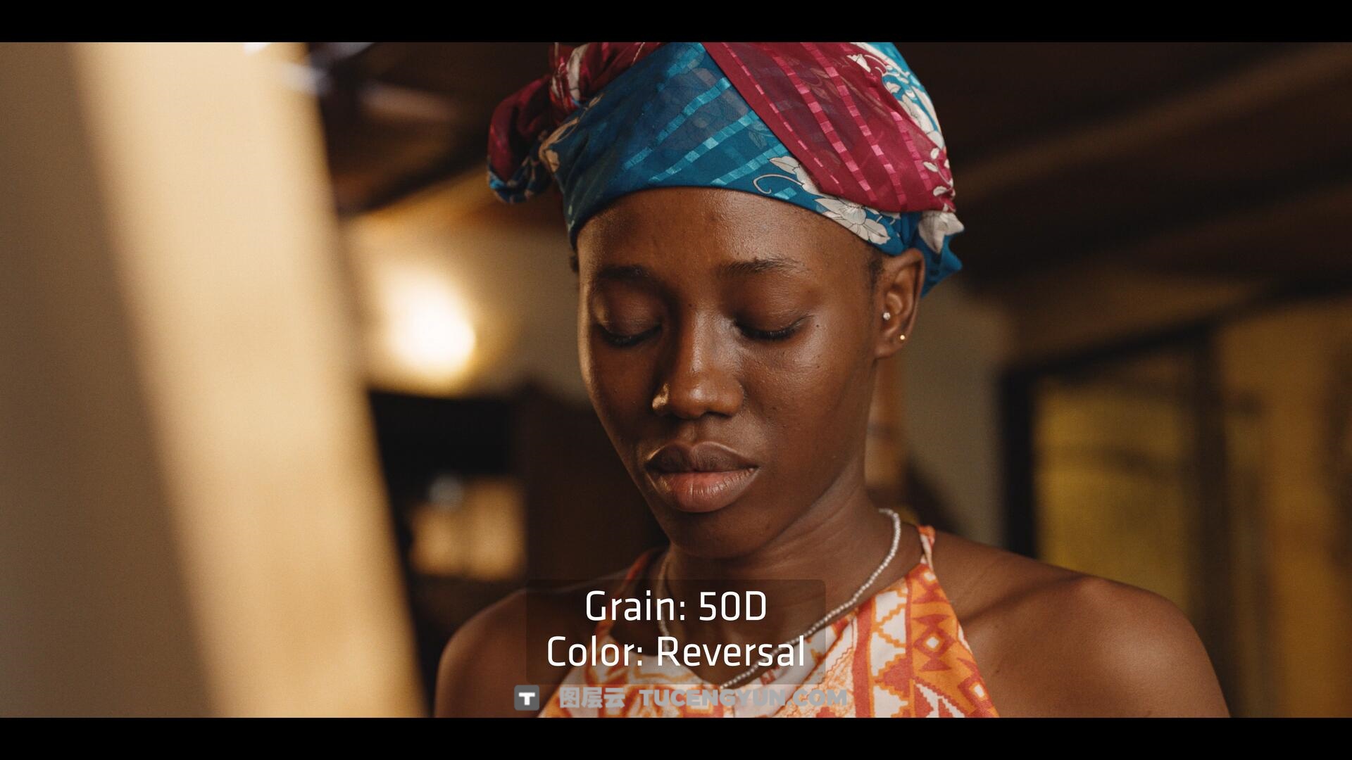 达芬奇插件：ARRI出品经典胶片模拟视频影像调色插件 ARRI Film Lab 1.0.2 for Resolve WIN版（14010）