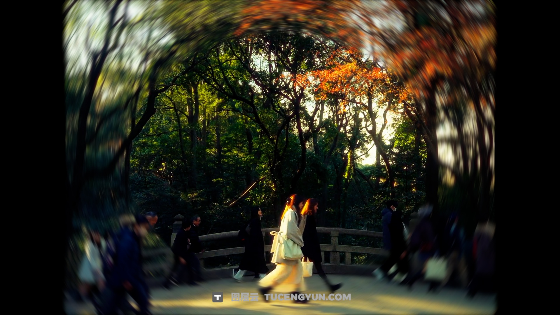 FCPX插件：热门梦幻氛围旋焦效果预设（13945）