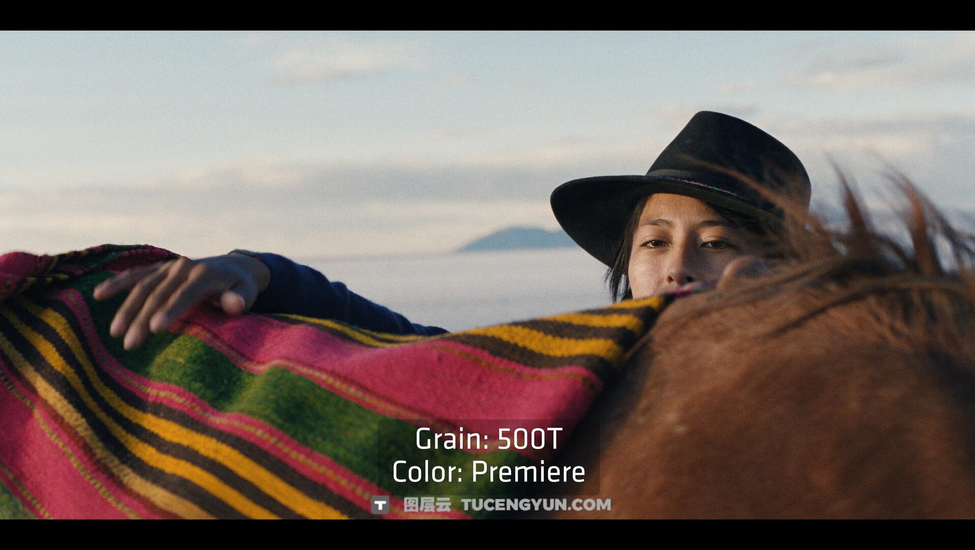 达芬奇插件：ARRI出品经典胶片模拟视频影像调色插件 ARRI Film Lab 1.0.2 for Resolve WIN版（14010）