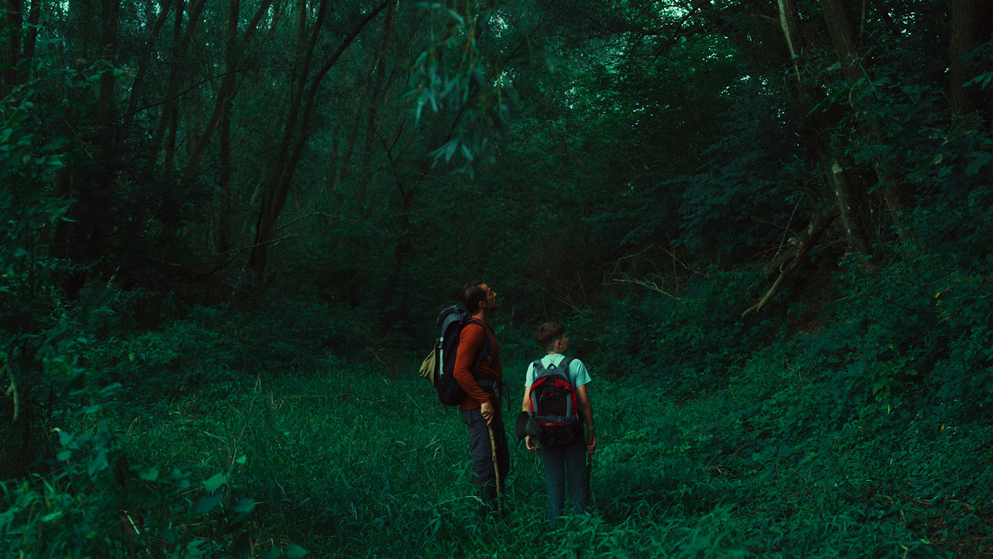 好莱坞电影美学柯达Vision3系列胶片模拟达芬奇DCTL插件 Colorist Foundry – Filmverse Pro 2.1（10297）