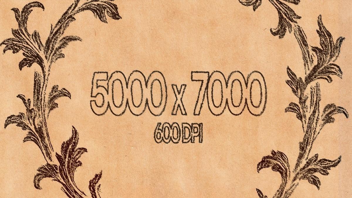 40款真实质感牛皮纸板扫描纸张肌理纹理JPG图片设计套装+PS笔刷 Kraft Paper Texture Pack（14054）