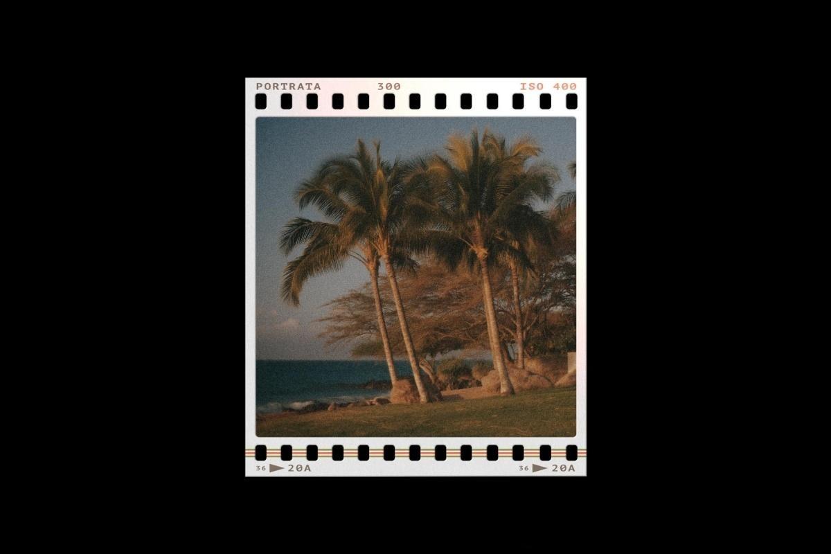 复古宝丽来35mm胶片边框电影帧框架叠加层PSD海报模板样机+PNG叠加层 Film Frames Collection: PSD & PNG Overlays（14053）